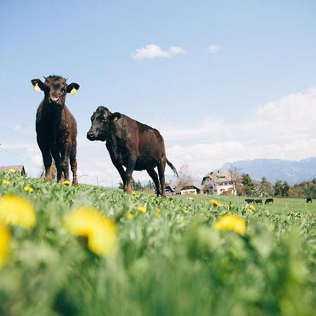 Alpin Farm Linde - Oberweidacherhof กอลลาลโบ ภายนอก รูปภาพ