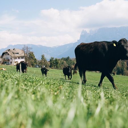 Alpin Farm Linde - Oberweidacherhof กอลลาลโบ ภายนอก รูปภาพ